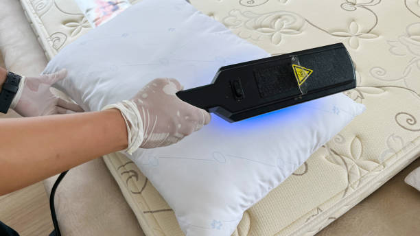 heat treatment for bed bugs