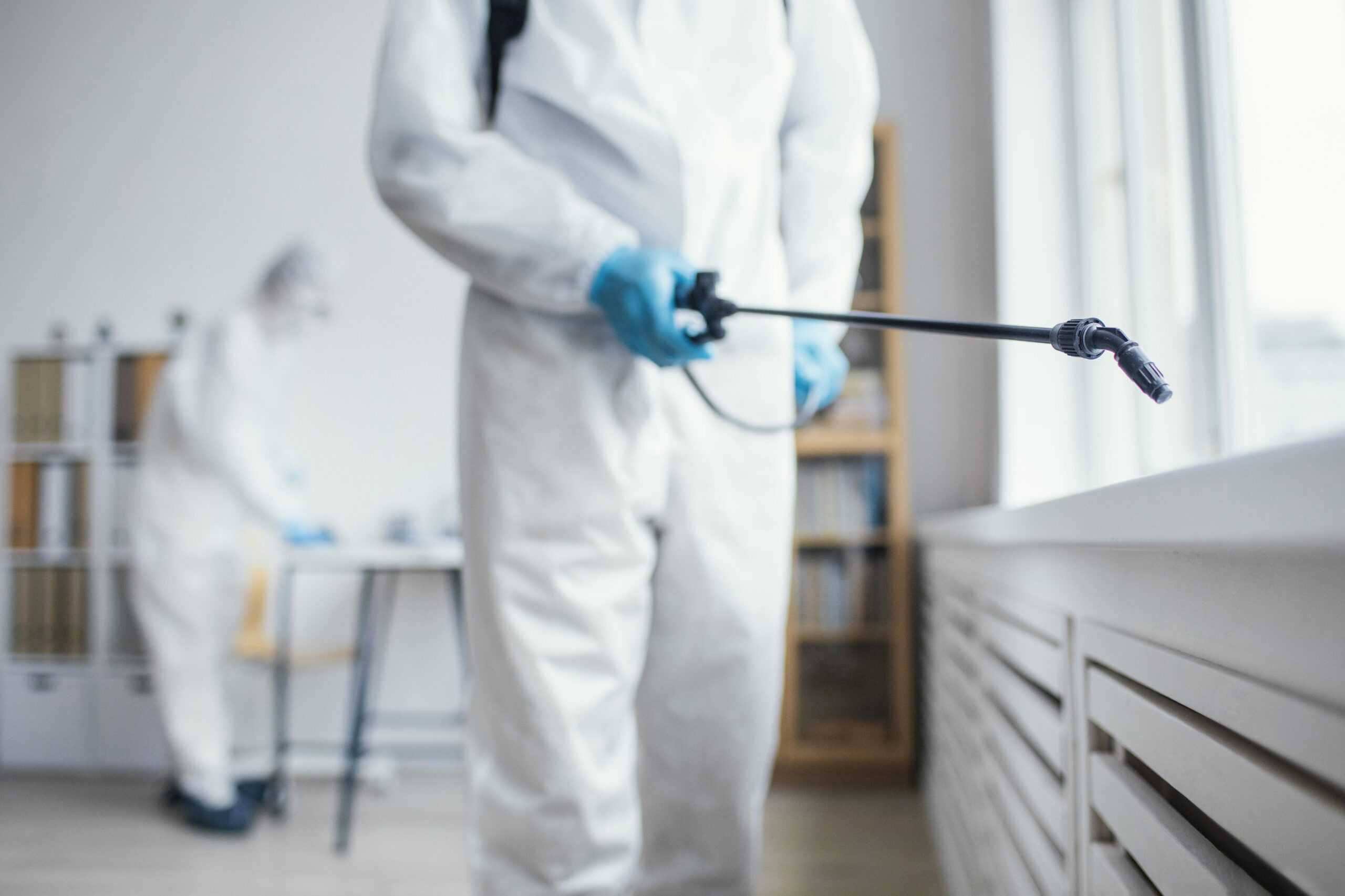 How Long Does It Take for Heat Treatment to Kill Bed Bugs?