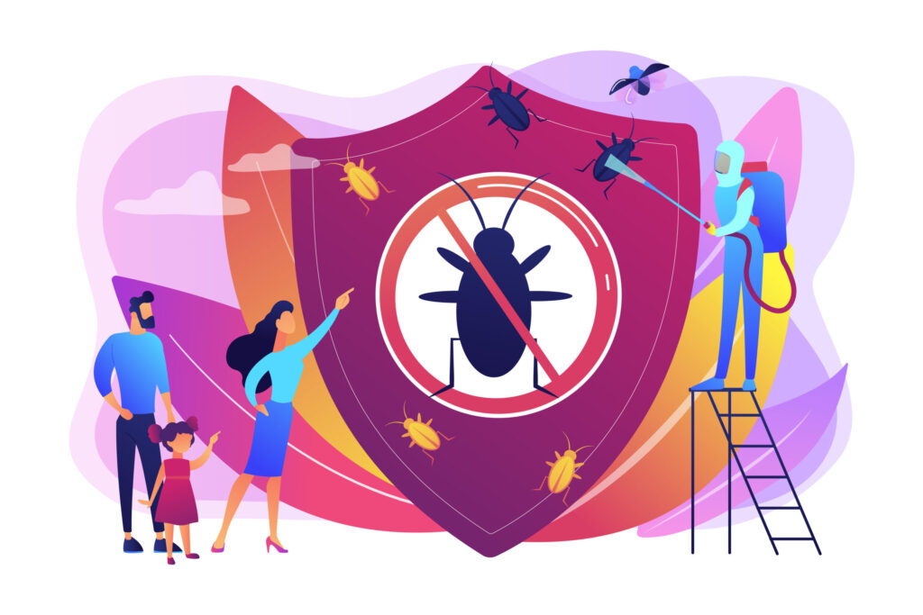 bed bug inspection