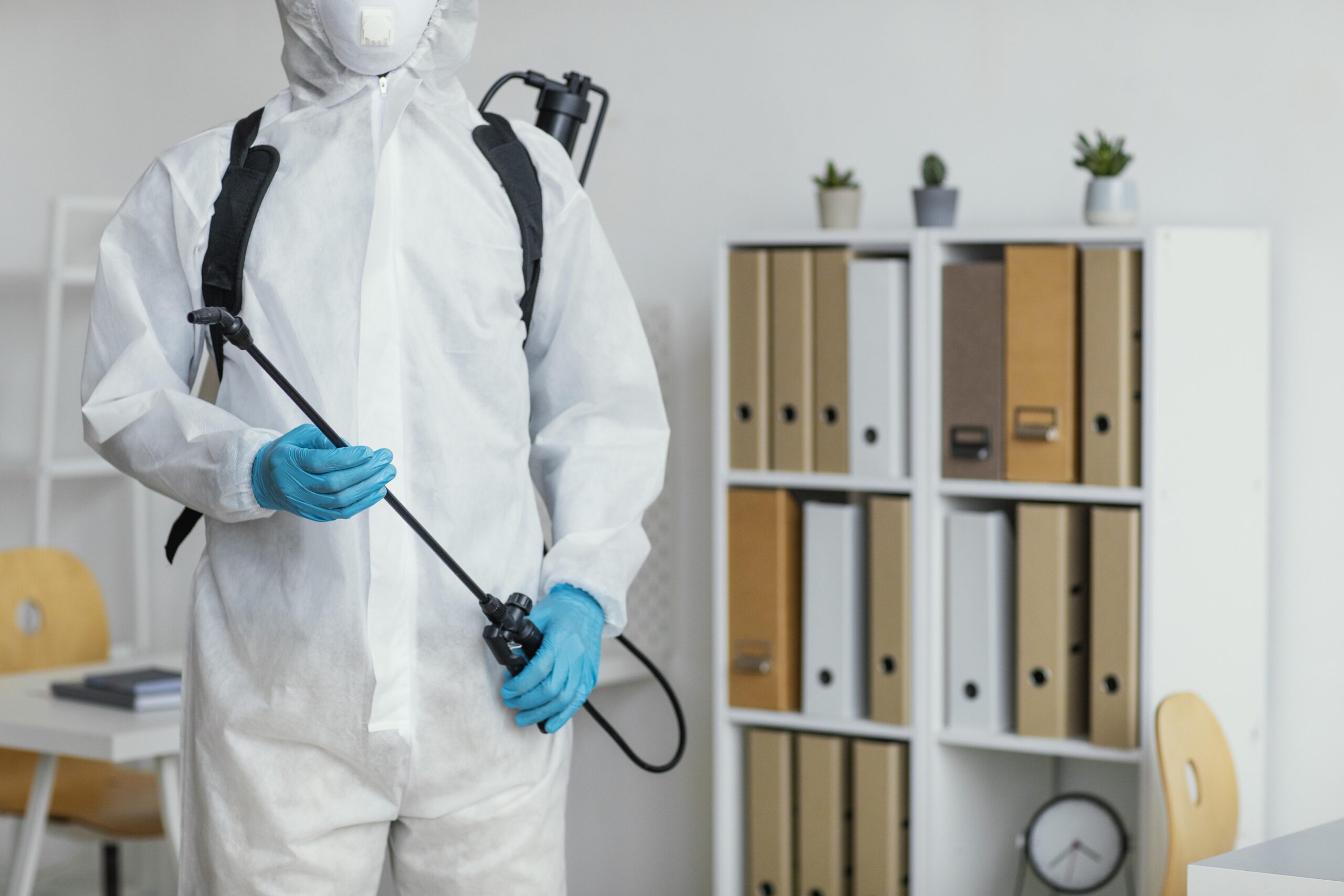 What is the Most Effective Way to Get Rid of Bed Bugs in the United States