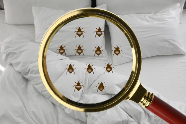 Bed Bug Monitoring Systems