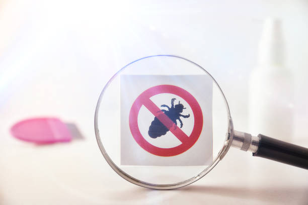 bed bug exterminator