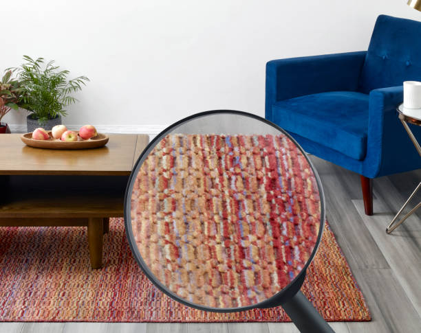 Bed Bugs Live in Clean Homes